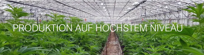 Hempmate Hanfproduktion auf hoechstem Niveau